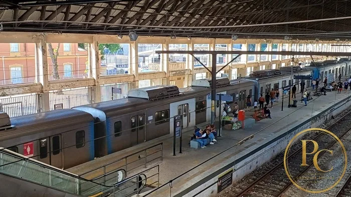 Engenho Vivo