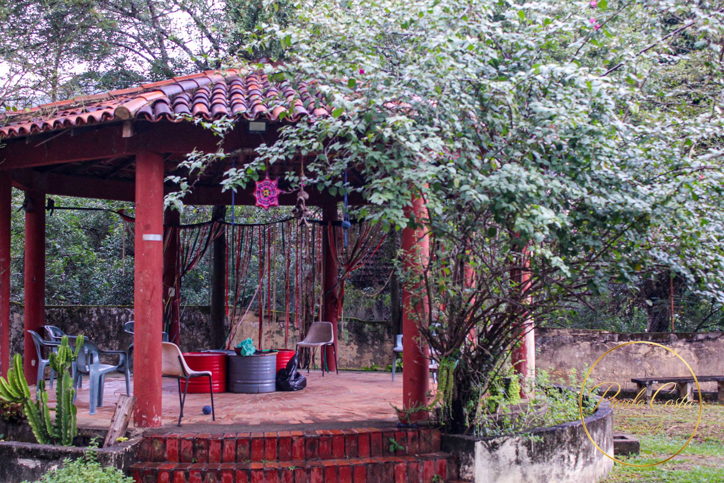 Entre Muros e Vozes — fotografia 3