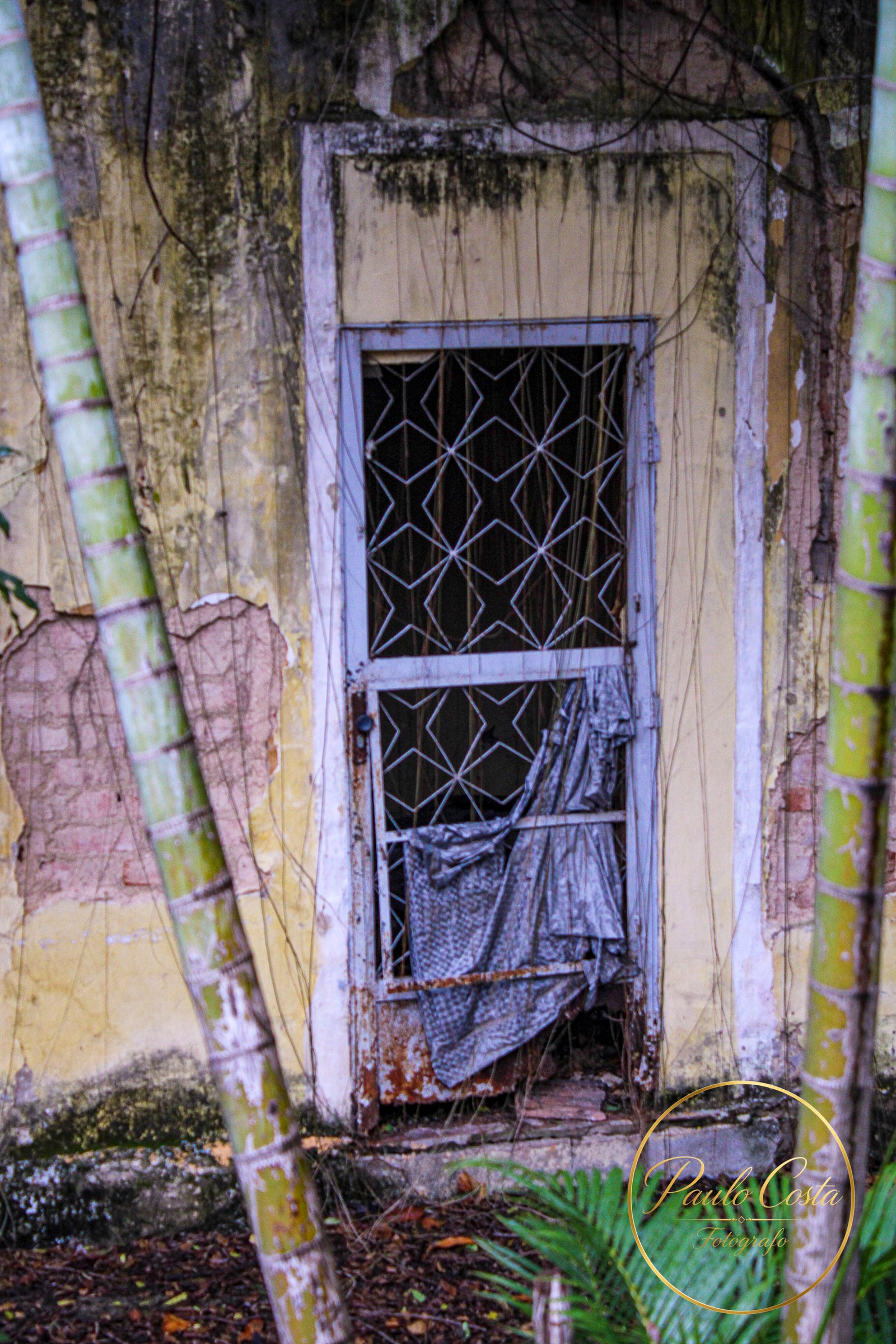 Entre Muros e Vozes — fotografia 4