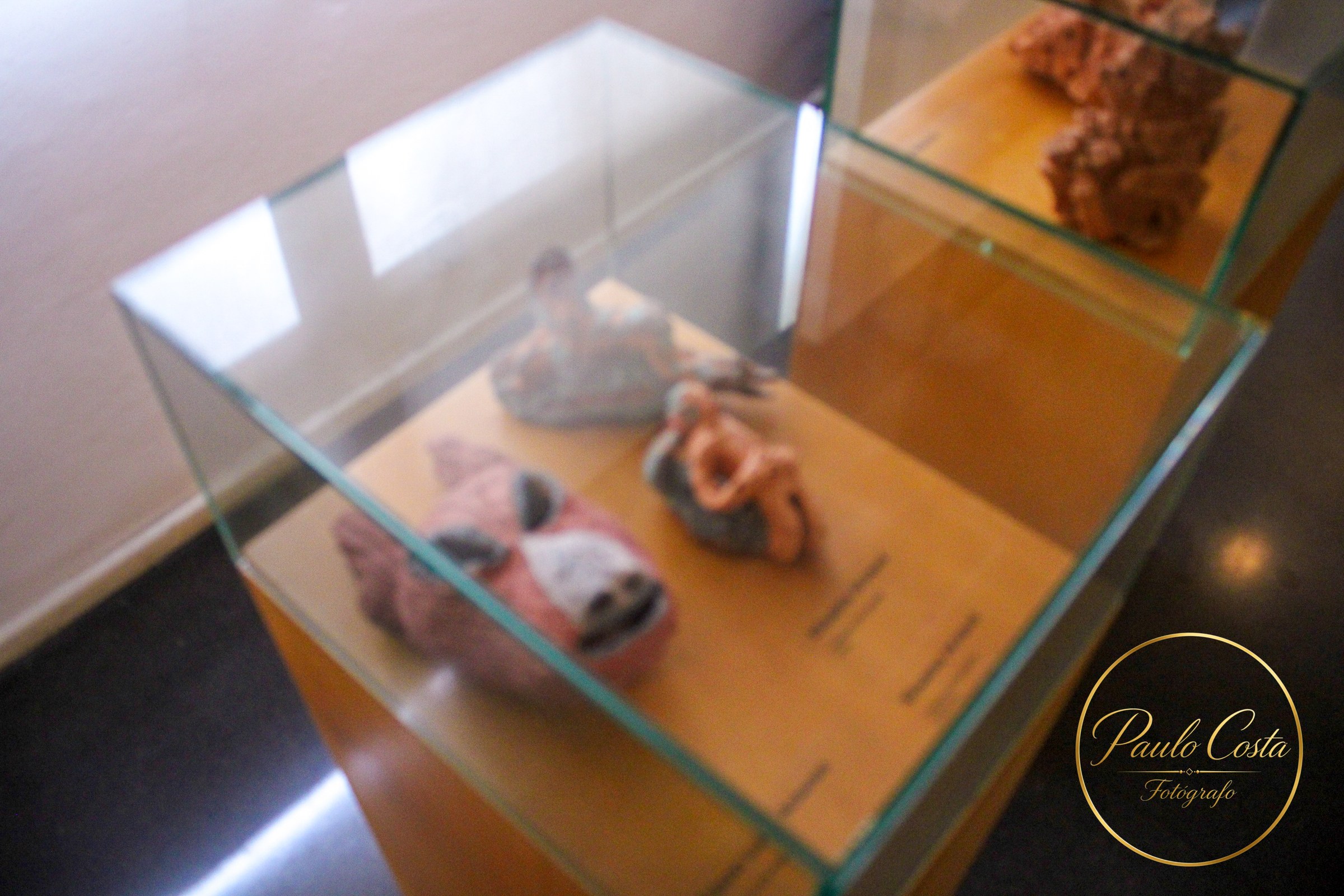 Entre Muros e Vozes — fotografia 5