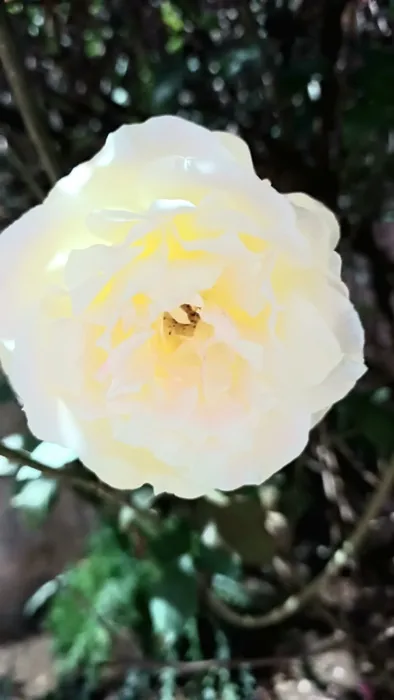 Natureza em Foco — fotografia 8