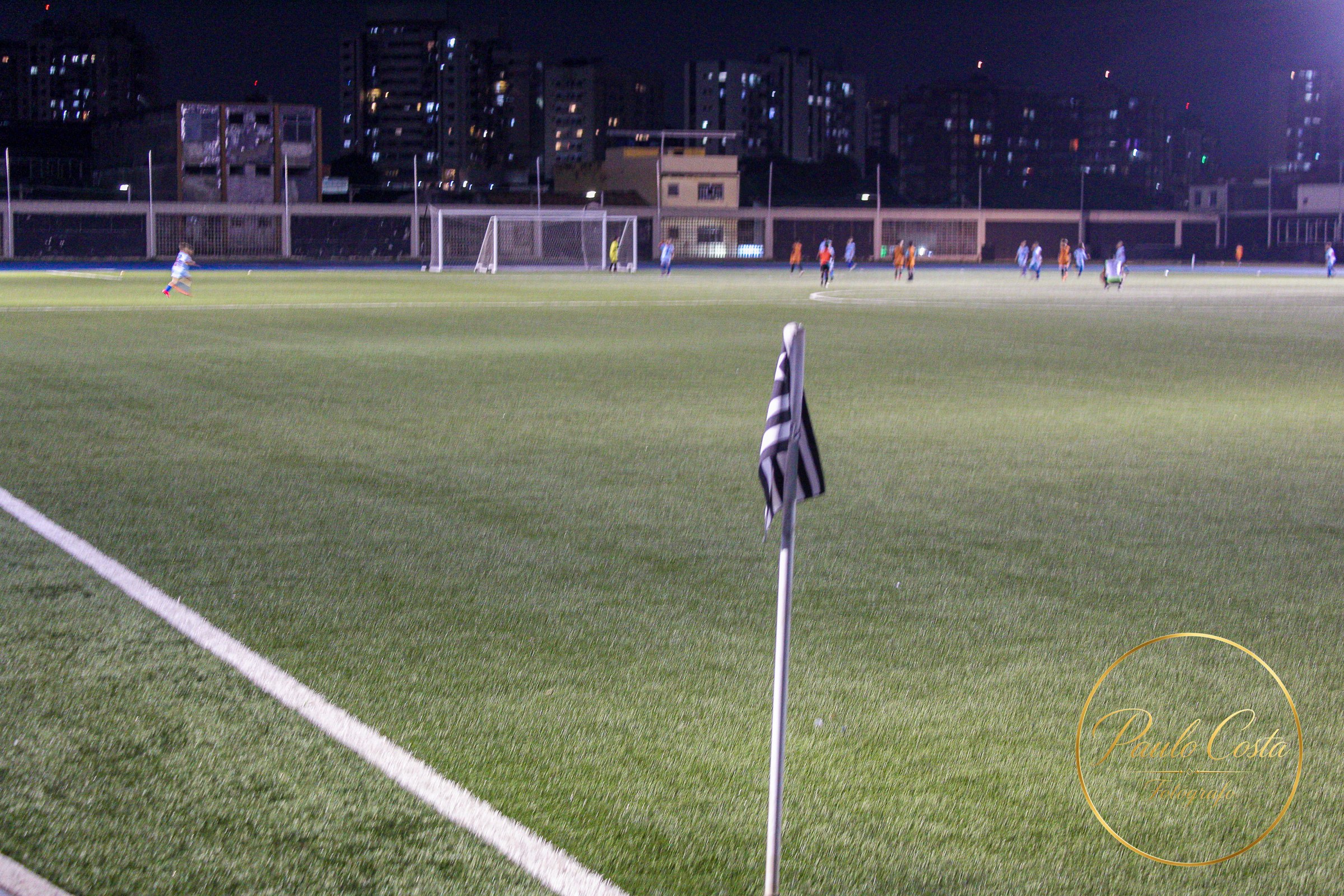 Estádio Nilton Santos — fotografia 2
