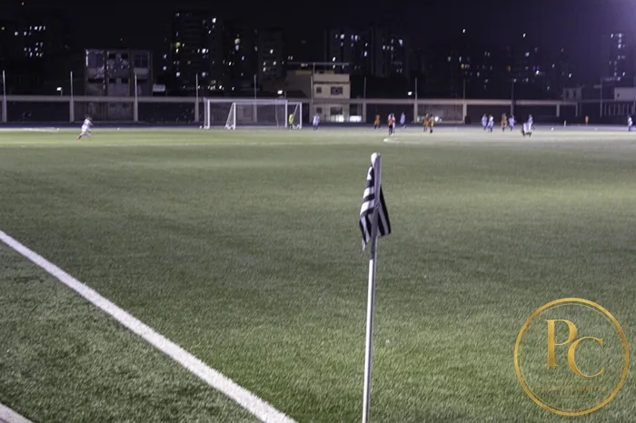 Estádio Nilton Santos — fotografia 2