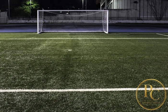 Estádio Nilton Santos — fotografia 4