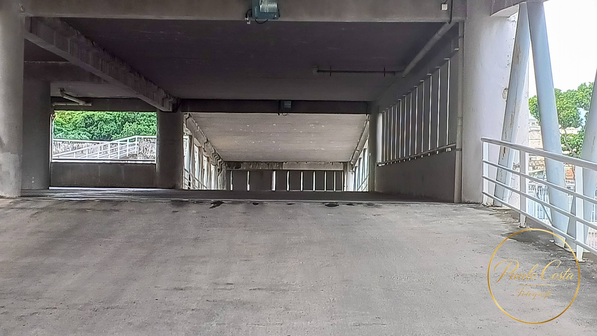 Estádio Nilton Santos — fotografia 8