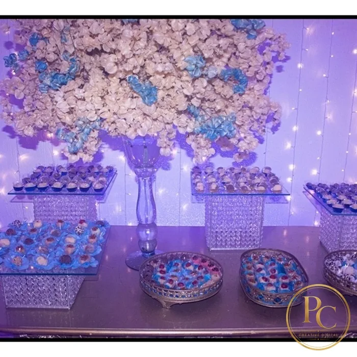 Aniversário de Poly Gomes — fotografia 6